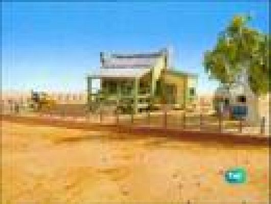  - Los hermanos Koala