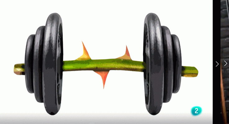 La aventura del Saber - Boek visual: Jaime López Molina