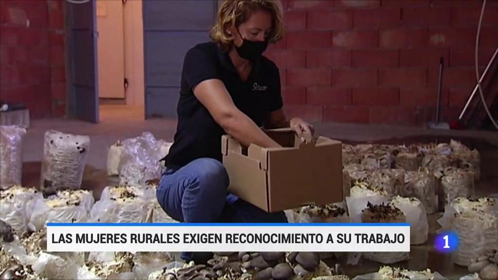 Las mujeres rurales exigen reconocimiento a su trabajo | Ver