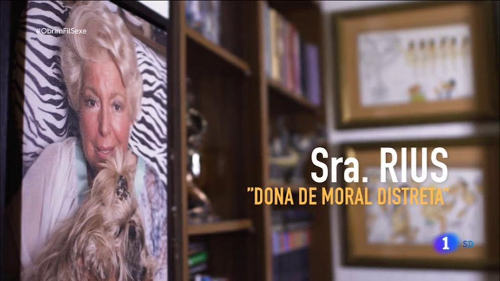 Obrim fil | La casa de la senyora  Rius