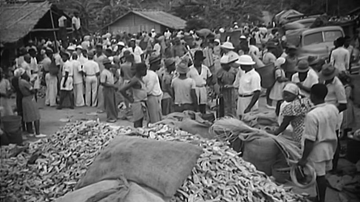 Universo UNED - UNED - 16/10/20