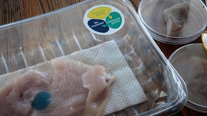 L'informatiu - Comunitat Valenciana - L'Informatiu - Comunitat Valenciana 2 - 16/10/20