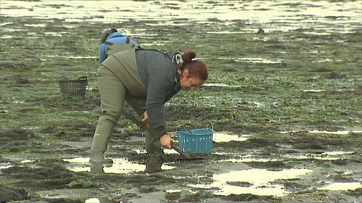 Agrosfera - Agrosfera - 17/10/20