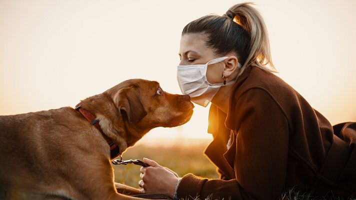 Perros para detectar el coronavirus: "Hay un porcentaje de acierto del 95%"