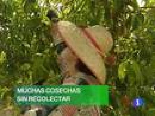 Noticias Murcia - Noticias Murcia - 18/08/09