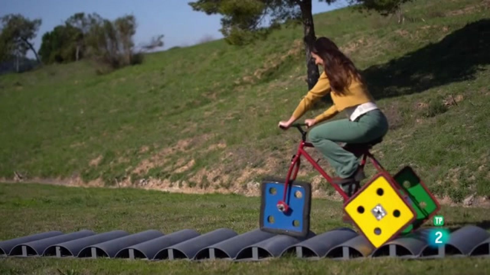 ¡Qué animal! -  ¿Es posible una bicicleta con ruedas cuadradas?