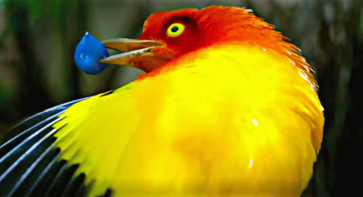 La aventura del Saber - Agenda natural