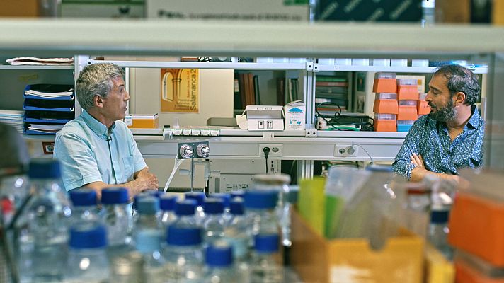 El cazador de cerebros - Investigando contra la Covid