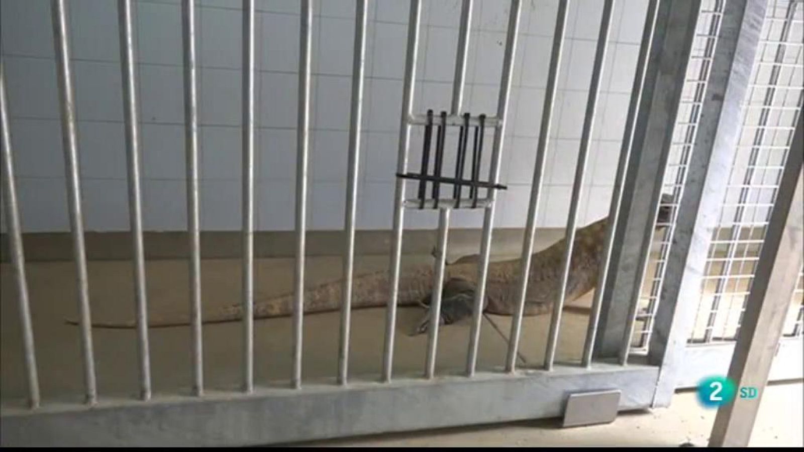 La Metro s'endinsa en el zoo de Barcelona, que es convertirà en un centre de conservació