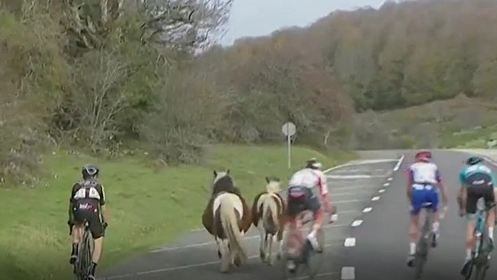 Vuelta 2020 | Susto para los ciclistas provocado por unos caballos sueltos