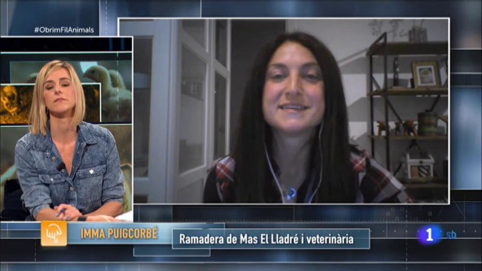Obrim fil | La ramaderia natural a Catalunya: el Mas el Lladré