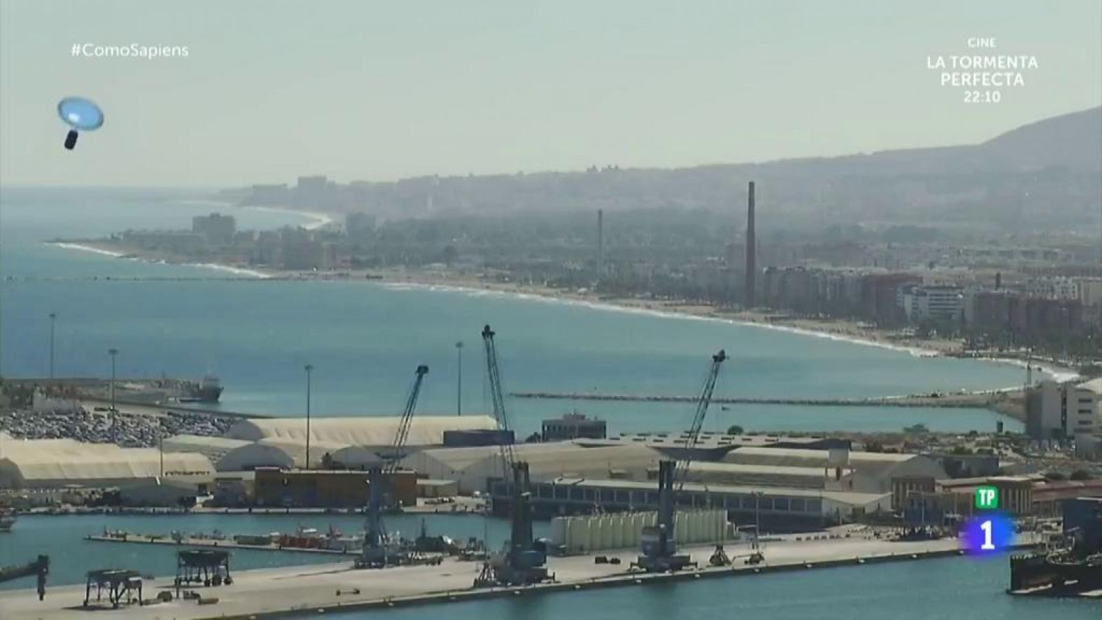 Celia Villalobos nos enseña cómo se tienen que abrir las ostras | Ver