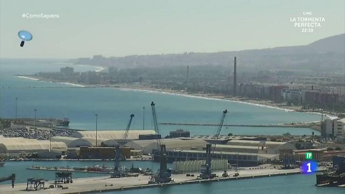 RTVE Cocina - Celia Villalobos nos enseña cómo se se abren las ostras