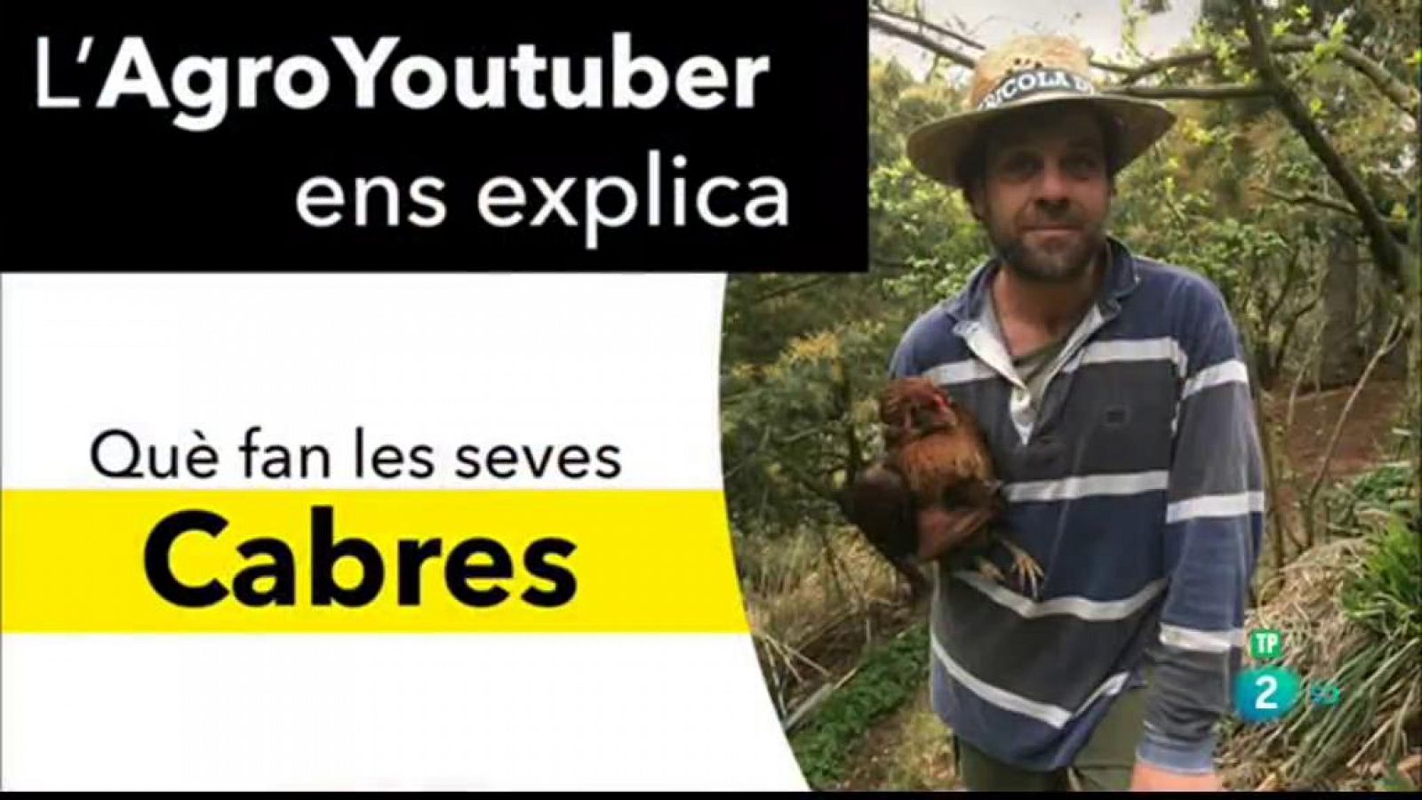 Pagès youtuber i control de mosquits | La Metro - RTVE Catalunya