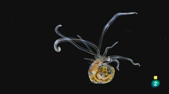 Días de cine - Another Way Film Festival