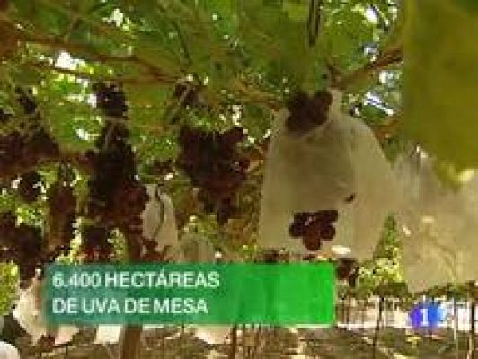 Noticias Murcia - Noticias Murcia - 19/08/09