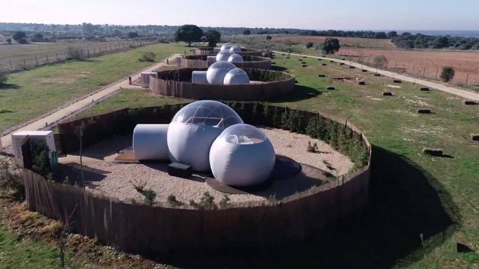 Zoom tendencias - Toledo cambia el paso - ver ahora