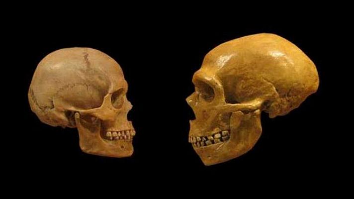 Telediario 1 - El escritor Juan Jose Millás y el antropólogo Juan Luis Arsuaga publican 'La vida contada por un sapiens a un neandertal'