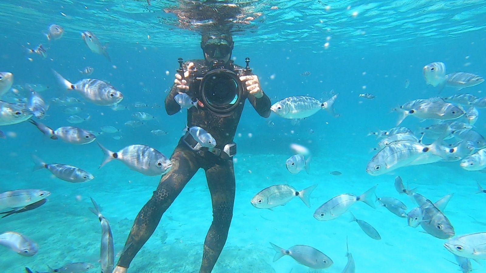 Aquí la Tierra - Formentera: ¿cómo era el mar que la baña hace 70 años?