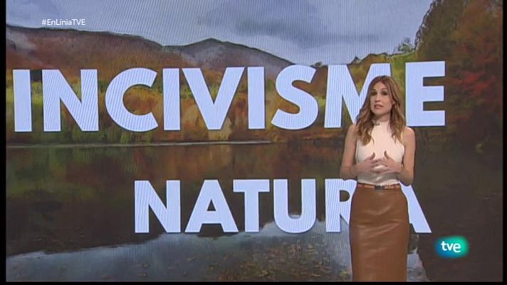 En Línia - Urbanites a la muntanya, meteorits i pa