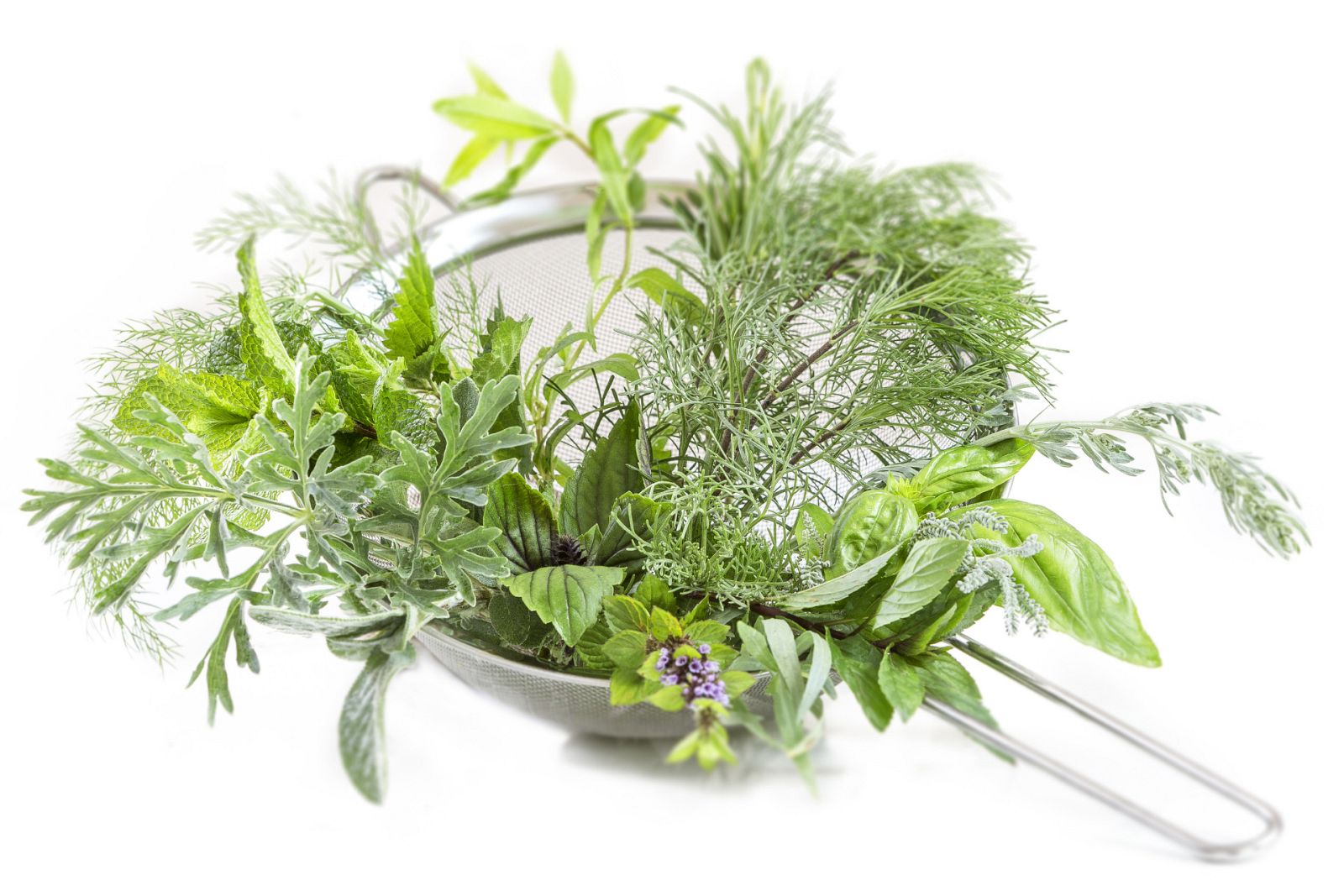 Aquí la Tierra - Juan Plantas nos enseña las propiedades del tomillo limón