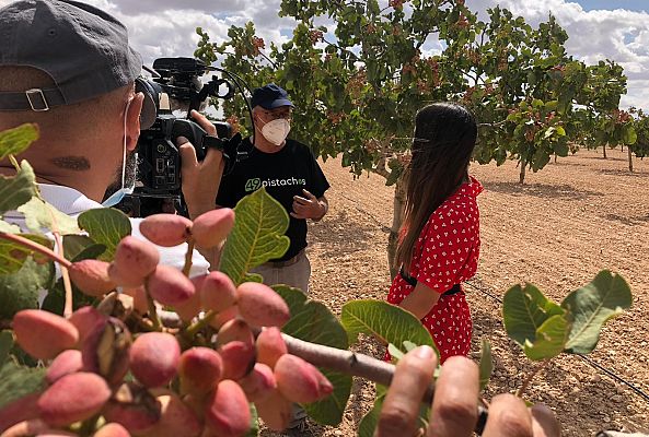 De excursión por Toledo para conocer el cultivo del pistacho