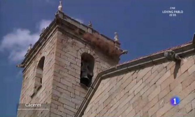 Aquí la Tierra - Campaneros: así es el tradición de la campana