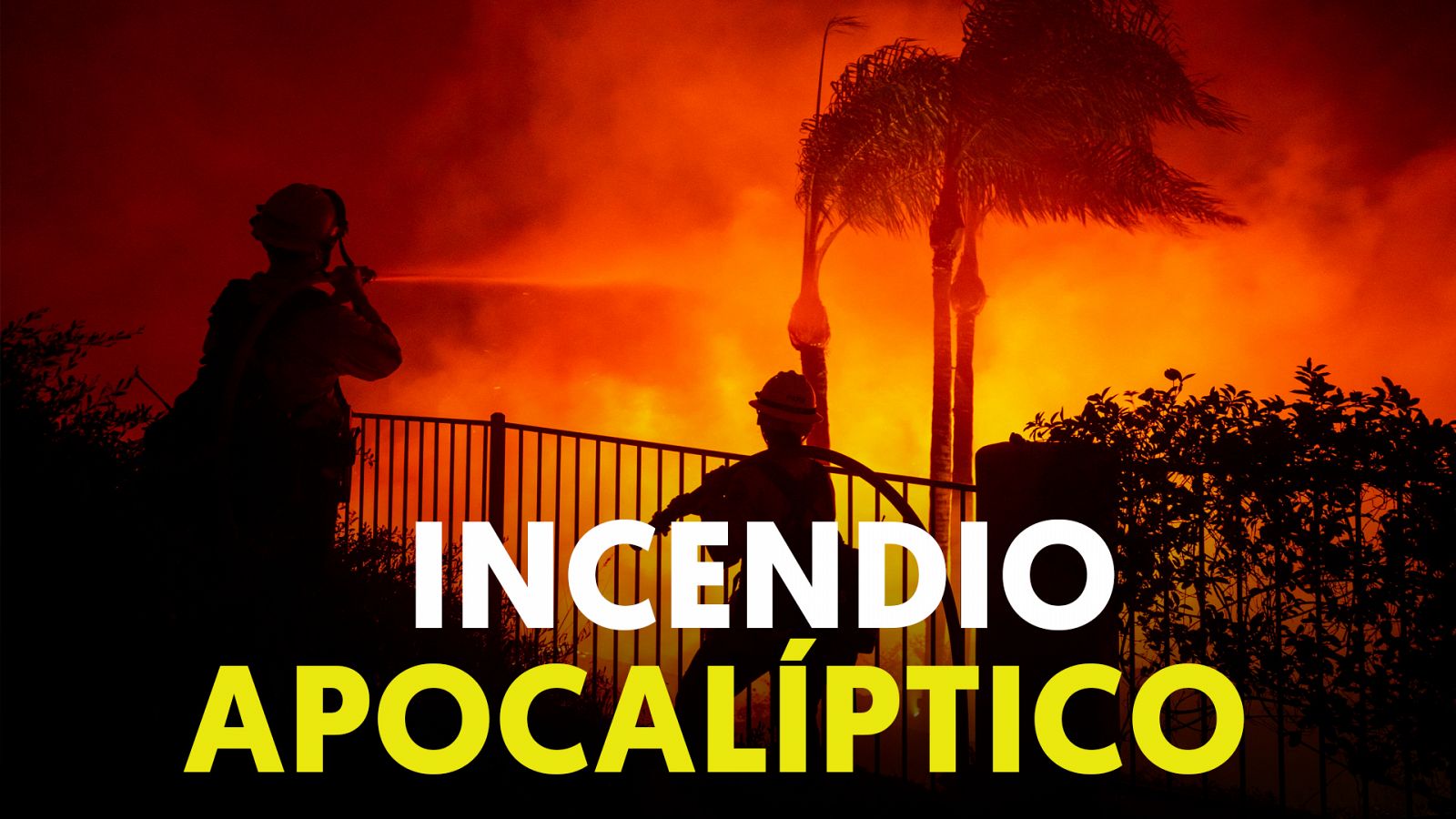 California: gran incendio forestal y van 8.880 este año