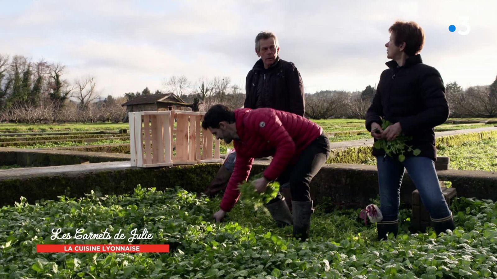 Otros documentales - Las recetas de Julie: La cocina lionesa con Anthony Bonnet - ver ahora