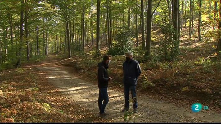 La Metro - Colors de tardor al bosc i Piano a l'escola