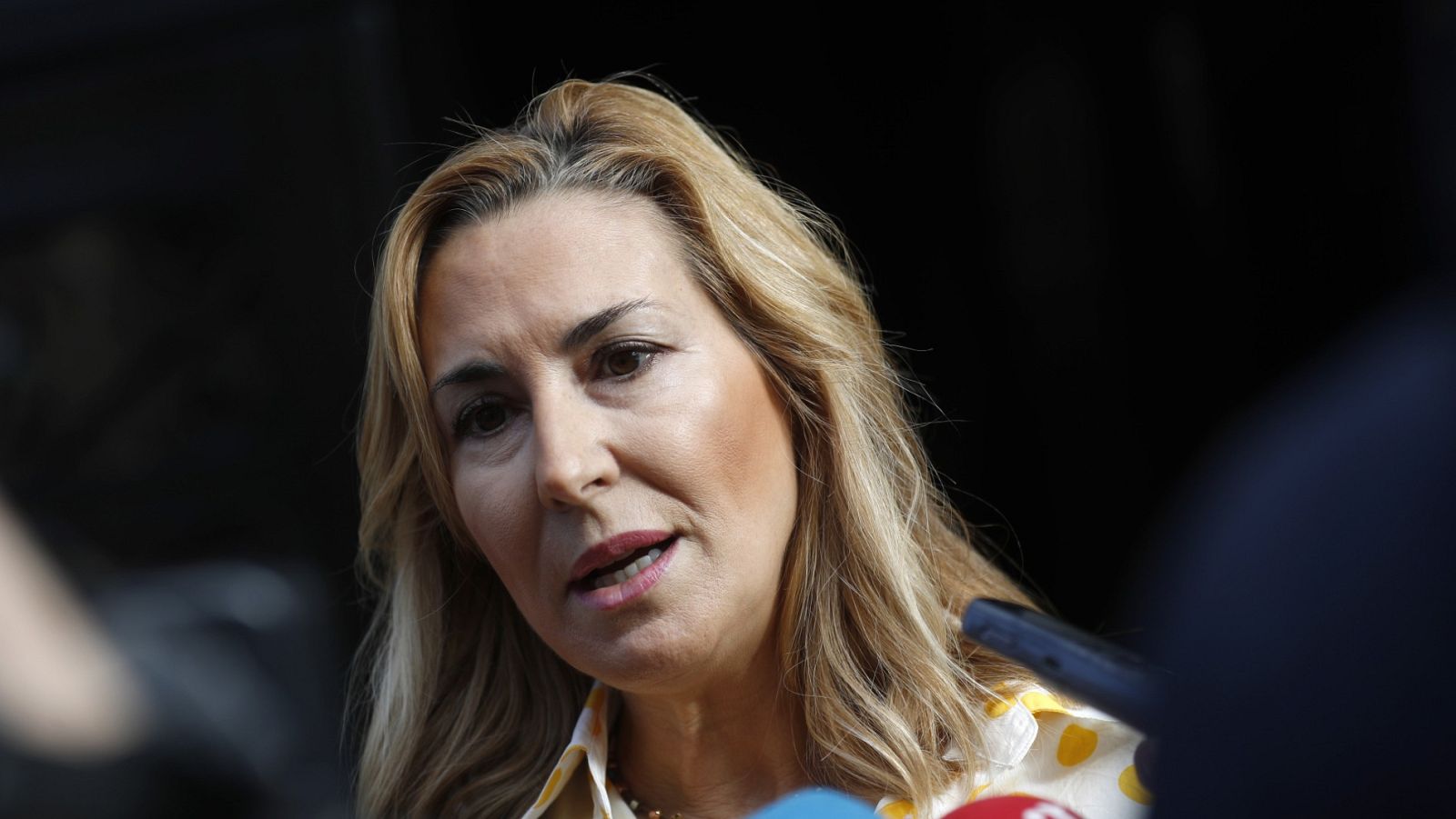 Ana Beltrán (PP): "Un estado de alarma de seis meses es inasumible"