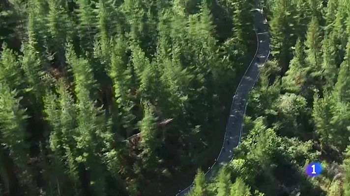 Telediario 1 - Vuelta 2020 | Los problemas para distinguir a los gemelos Oliveira