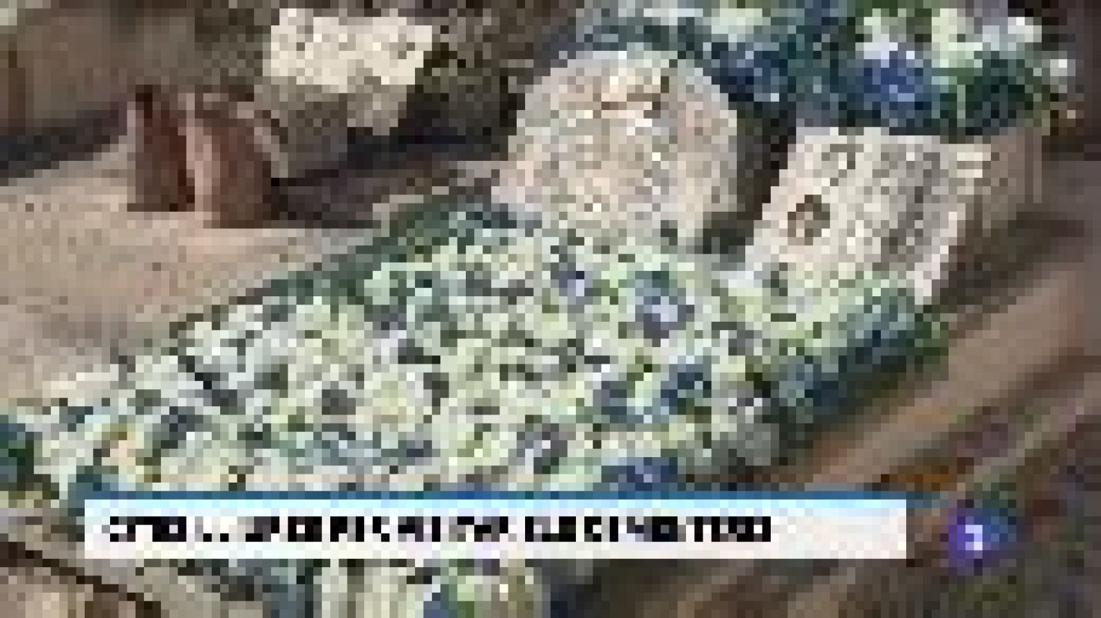 Informatiu Balear en 2' - 30/10/20