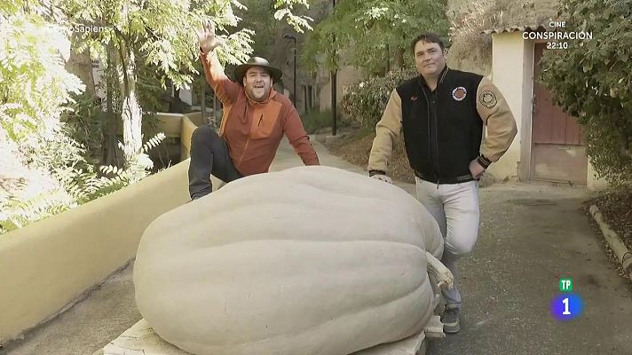 RTVE Cocina - Calabazas bravas con salsa picante de pimientos de piquillo