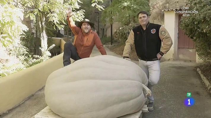 RTVE Cocina - Calabazas bravas con salsa picante de pimientos de piquillo