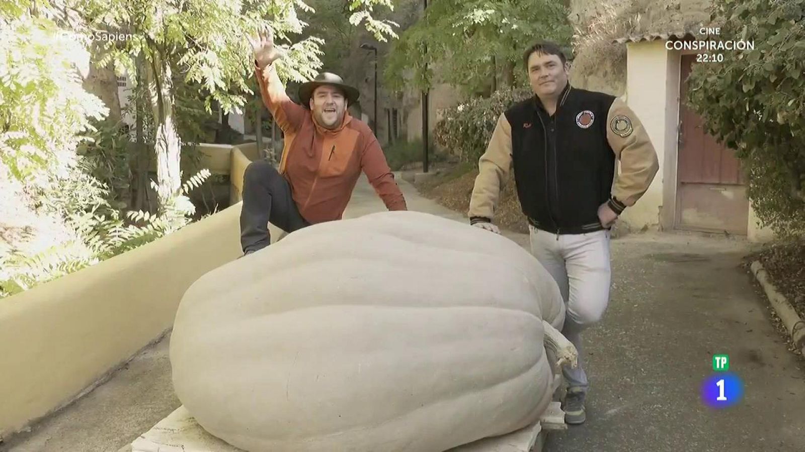 Receta de calabazas bravas con salsa picante de pimientos de piquillo