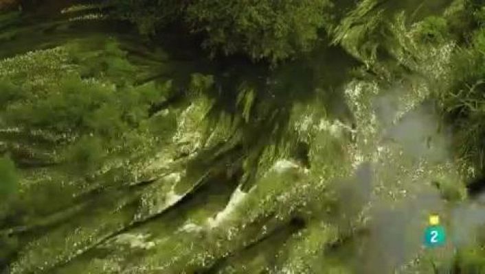 Días de cine - 'Lúa Vermella'