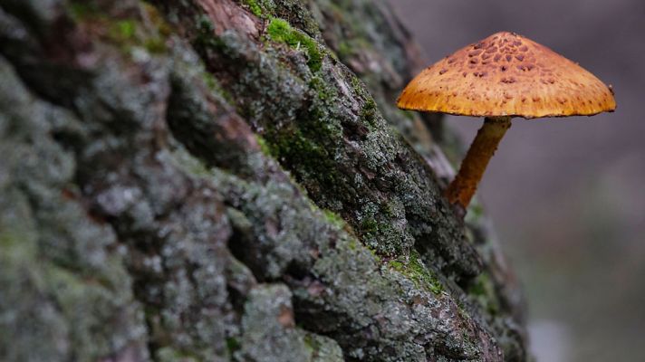 El tiempo - Predominan los cielos despejados y las altas temperaturas