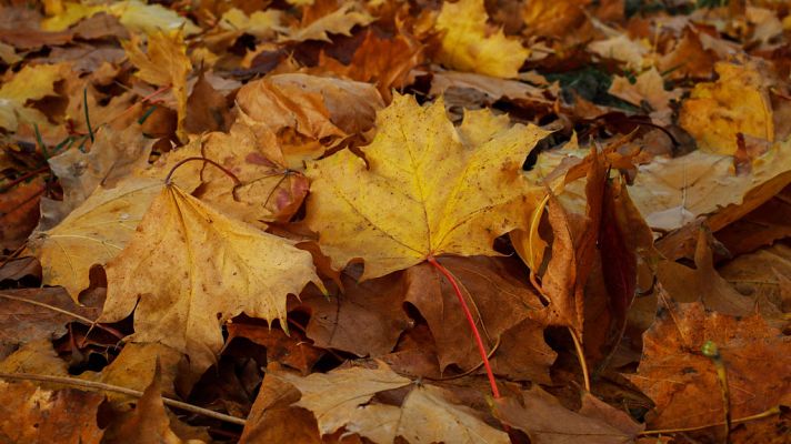 El tiempo - Tiempo estable con predominio de cielos poco nubosos