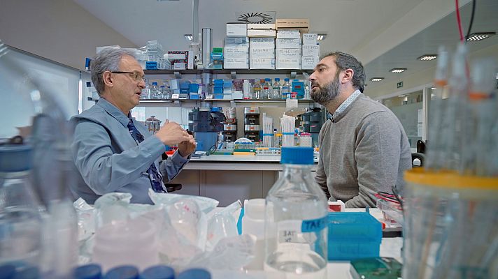 El cazador de cerebros - ¿Está enloqueciendo nuestro organismo?