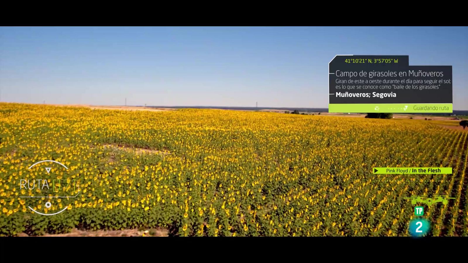 Ruta 17 - Campo de girasoles en Muñoveros - Ver ahora