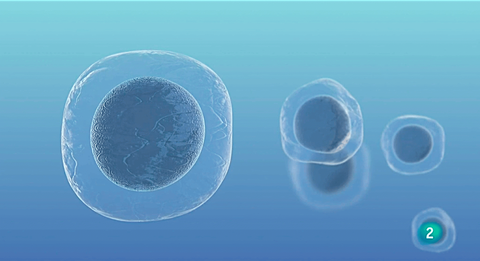 La aventura del saber modificar geneticamente ADN de hijos Universidad de Barcelona Universidad Responde #AventuraSaberUResponde