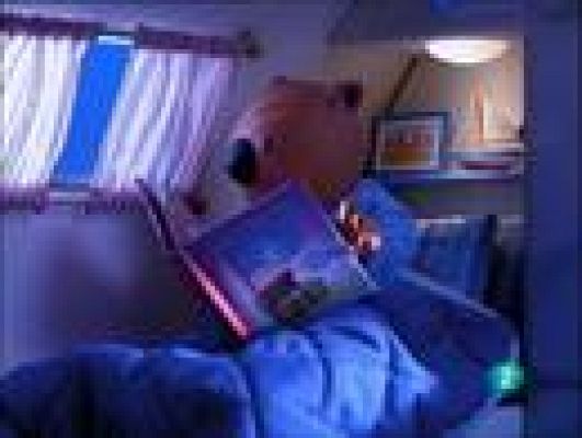  - Los hermanos Koala