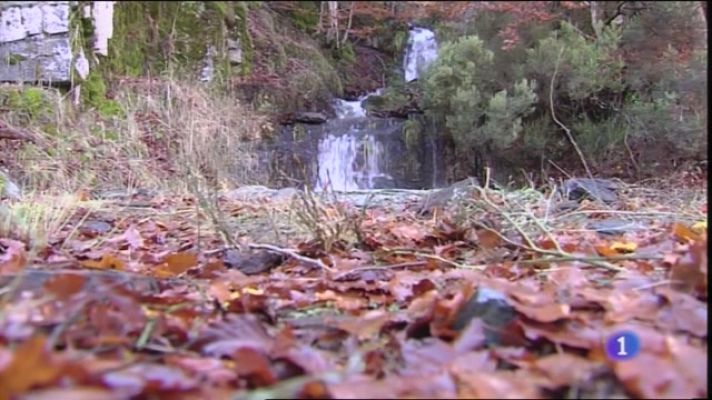 Especial Coronavirus - El otoño llega al Hayedo de la Tejera Negra con las reservas al completo