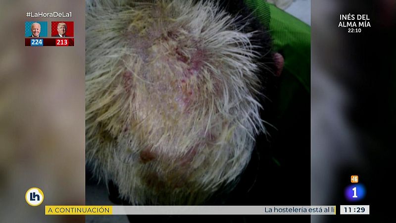 Un peluquero debe pagar 7000 euros de multa por abrasar el pelo a un menor