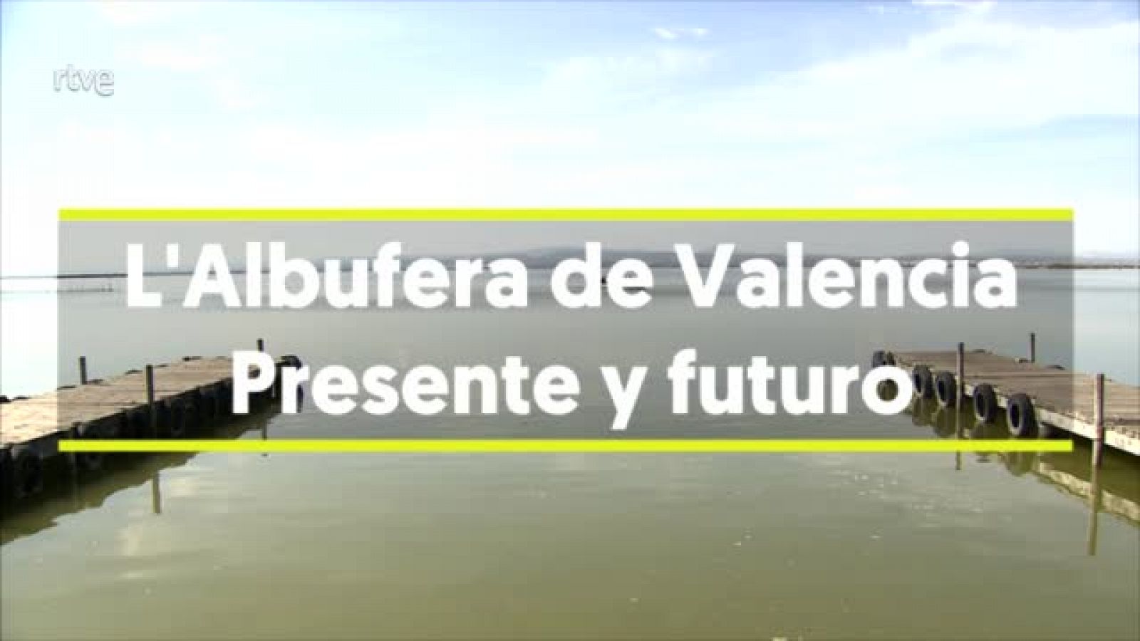 La Albufera: presente y futuro