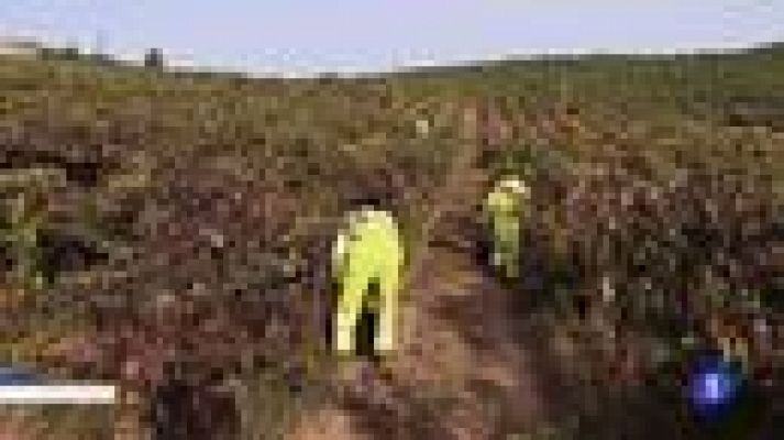 Informativo Telerioja - Telerioja en 2' - 04/11/20