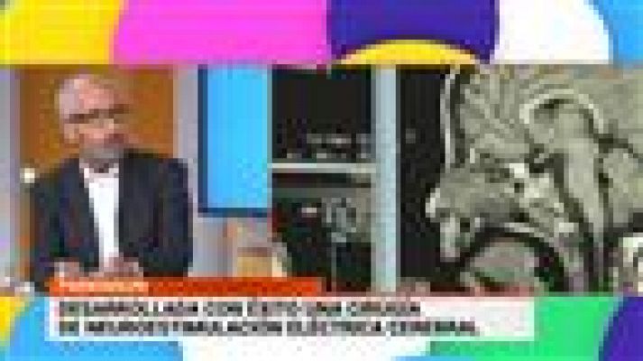 Cerca de ti - Cerca de ti - 05/11/2020