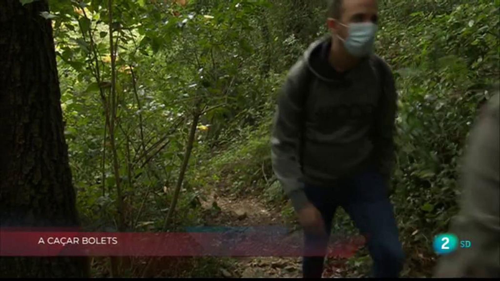 Caçar bolets, lloguer de roba i activistes per la vida a La Metro