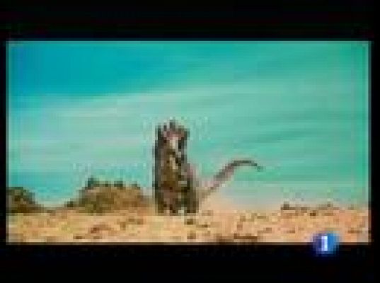  - Novedades cinematográficas